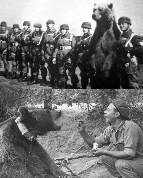Wojtek memories